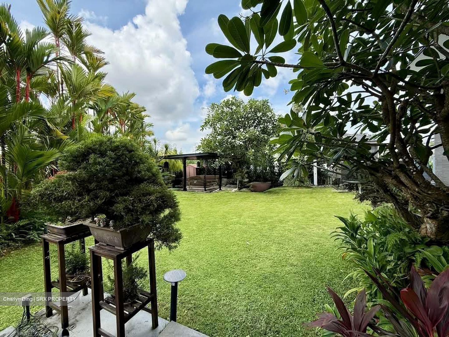 Braddell Heights Estate (D13), Detached #596319041